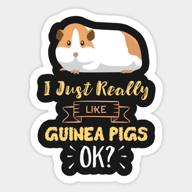 I Just Really Like Guinea Pigs OK? Funny Guinea Pig